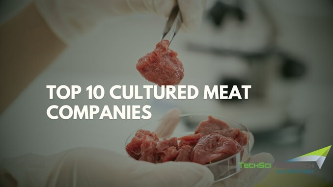 Top 10 Cultured Meat Companies 